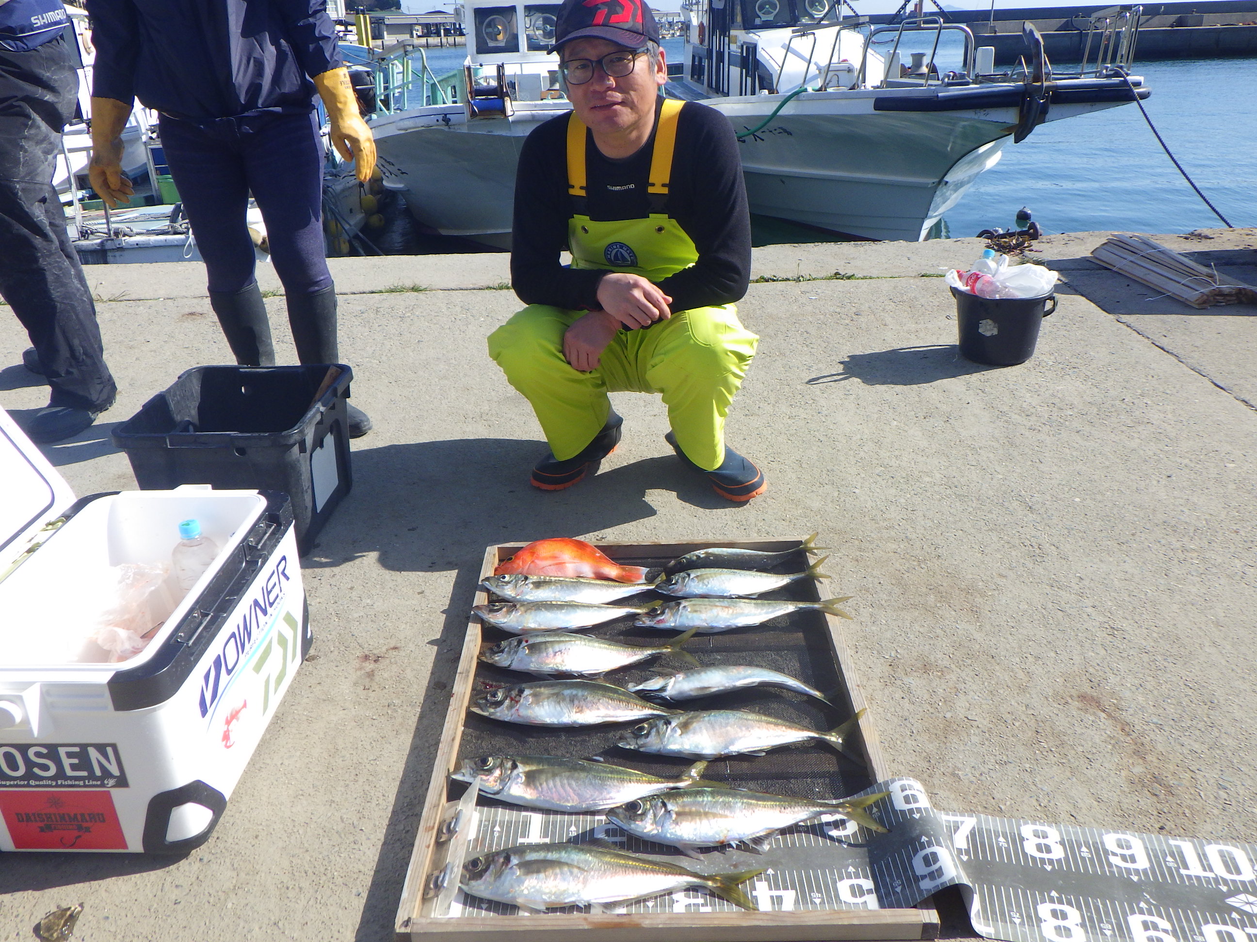 愛知南知多豊浜】釣船大進丸 ジギングをはじめとする船釣り釣船をお楽しみいただけます。 » 2023/3/6 アジ＆イサキ釣りコース！