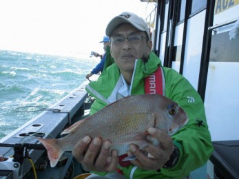 お刺身・塩焼き何でもOK！