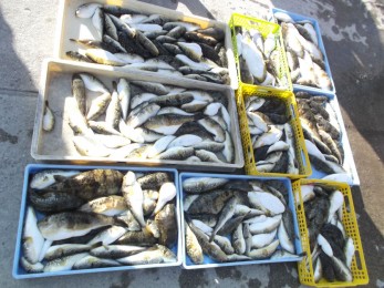 違う角度から一枚！