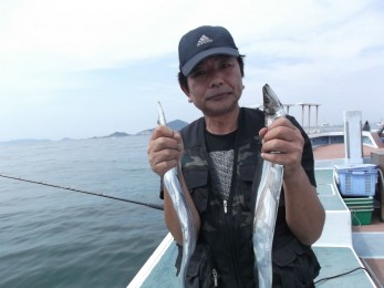 伊良湖沖タチウオ安定した釣果で連日爆釣です！