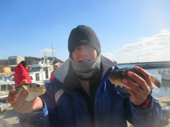 IMG_3382-w900