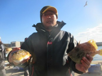 IMG_3383-w900
