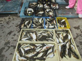 山下様他乗船頂いた皆様